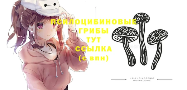 тгк Арсеньев