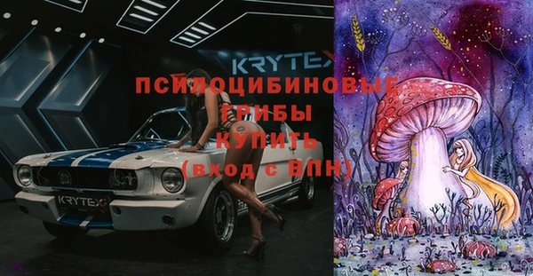тгк Арсеньев