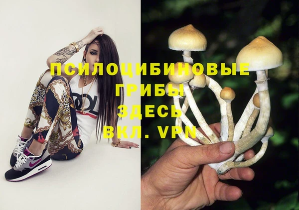 тгк Арсеньев