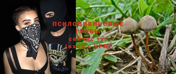 каннабис Аркадак