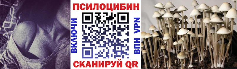 Галлюциногенные грибы Psilocybine cubensis  Свирск 